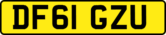 DF61GZU