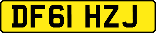 DF61HZJ