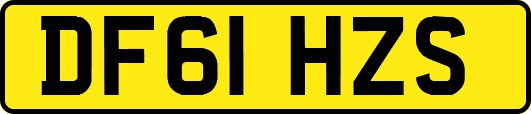 DF61HZS