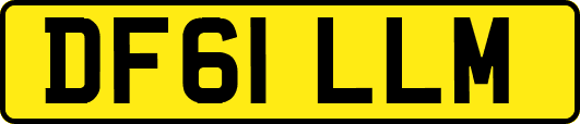 DF61LLM
