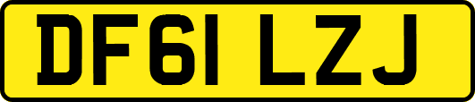 DF61LZJ