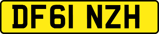 DF61NZH