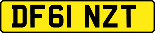 DF61NZT