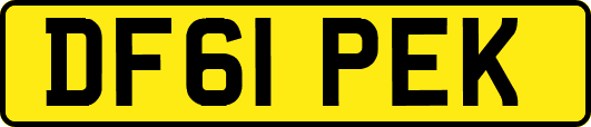 DF61PEK
