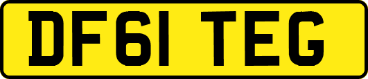 DF61TEG