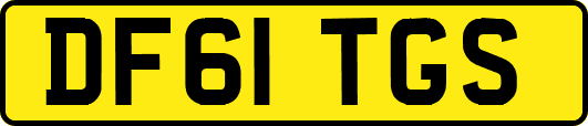 DF61TGS
