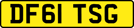 DF61TSG