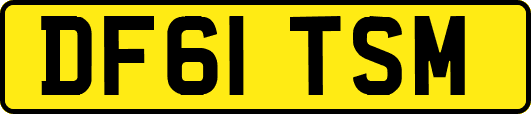 DF61TSM