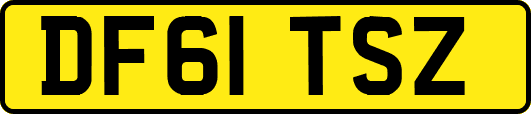 DF61TSZ