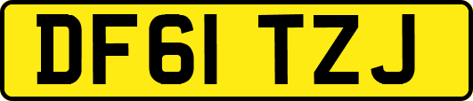 DF61TZJ