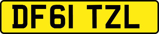 DF61TZL