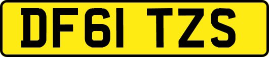 DF61TZS