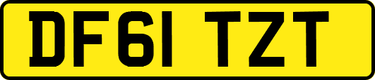 DF61TZT