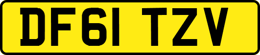 DF61TZV
