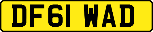 DF61WAD