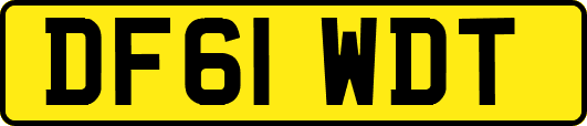 DF61WDT