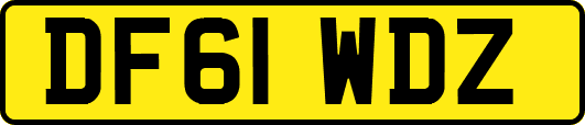 DF61WDZ