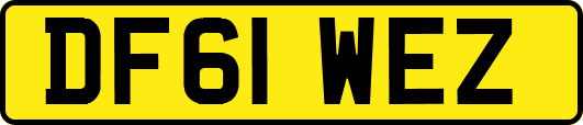 DF61WEZ