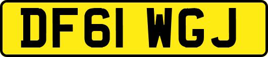 DF61WGJ