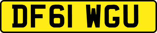 DF61WGU