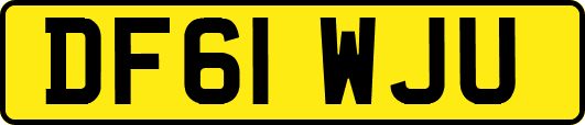 DF61WJU