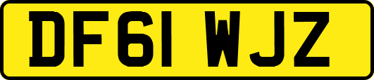 DF61WJZ