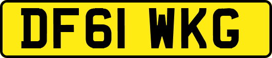 DF61WKG