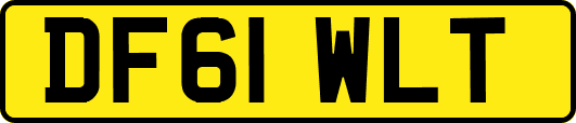 DF61WLT