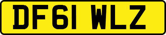 DF61WLZ