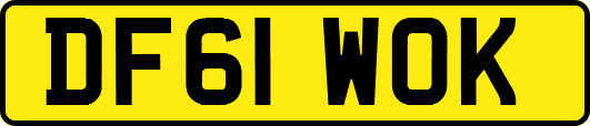 DF61WOK