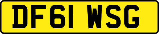 DF61WSG