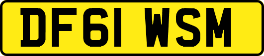 DF61WSM