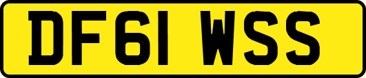 DF61WSS