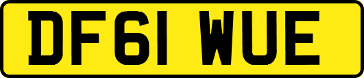 DF61WUE
