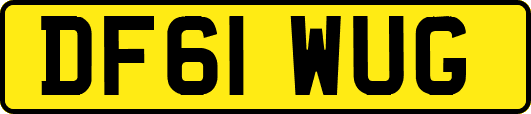 DF61WUG