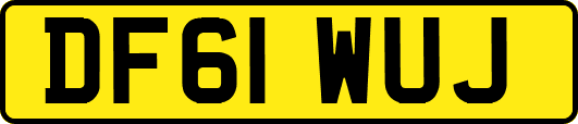 DF61WUJ