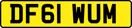 DF61WUM