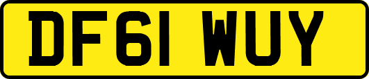 DF61WUY