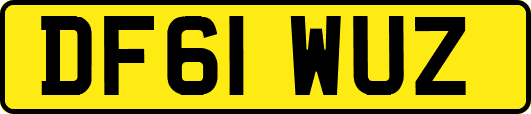 DF61WUZ