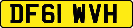 DF61WVH