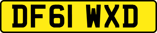DF61WXD