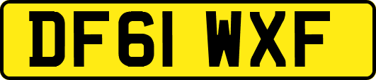 DF61WXF