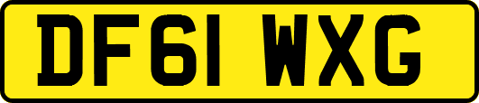 DF61WXG