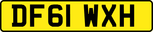 DF61WXH