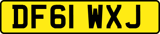 DF61WXJ