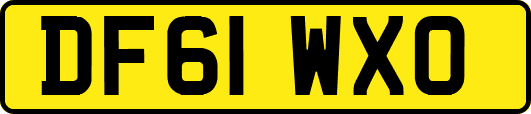 DF61WXO