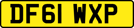 DF61WXP