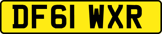 DF61WXR