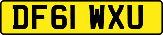 DF61WXU