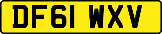 DF61WXV